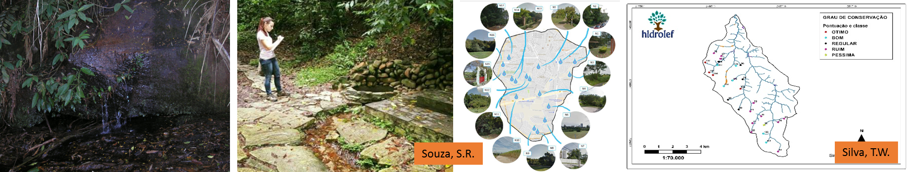 Springs conservation