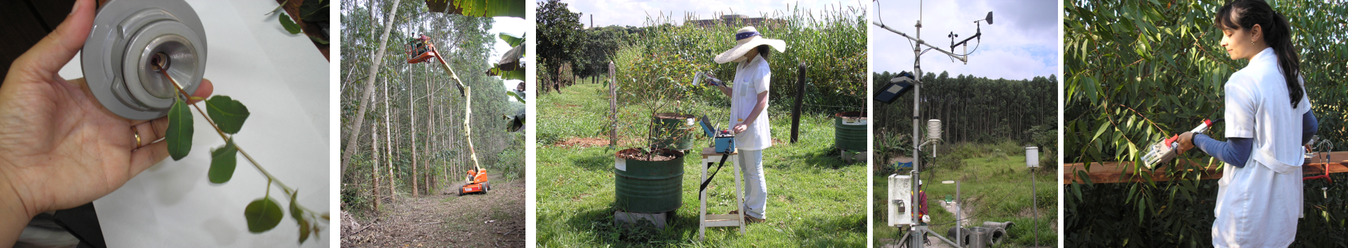 Ecophysiology