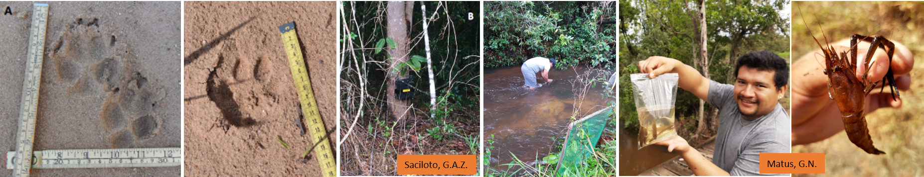 Hydrology and Fauna