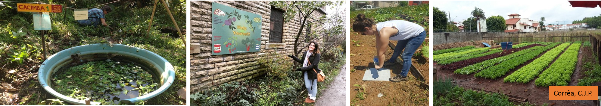 Hydrology in Urban Gardens