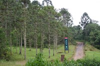 DSC_0238.jpg
